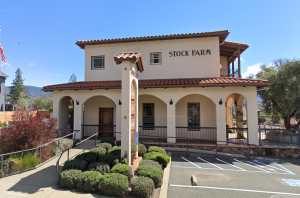 A vibrant dog park bathed in sunlight features abundant greenery with mature trees, offering ample shade for leisurely outdoor activities. In the distance is a well-equipped playground that presents an additional activity area. An inviting picnic table spreads out nearby, ideal for enjoying meals al fresco or taking relaxing breaks from play. A neatly-placed trash bin aids in maintaining the park's cleanliness for everyone's enjoyment. Dominating the scene is a generously wide dirt path gracefully curving through the expanse of grass, promising exploratory walks and lively fetch games.